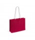Bolsa Hintol