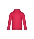 THC PHOENIX KIDS Sudadera unisex para ninos con capucha