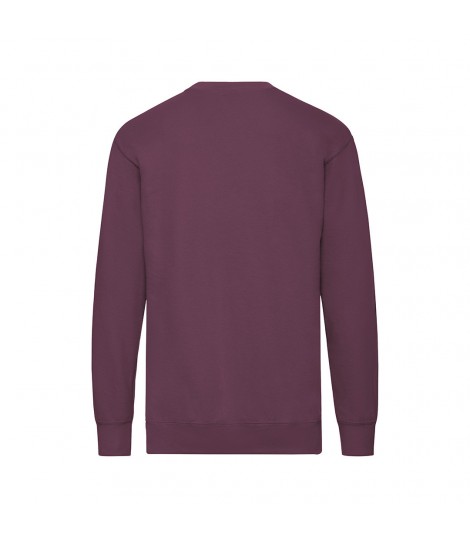 Sudadera Adulto Lightweight Set In S