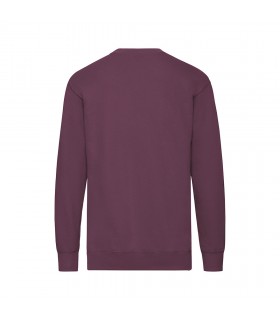 Sudadera Adulto Lightweight Set In S