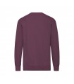 Sudadera Adulto Lightweight Set In S