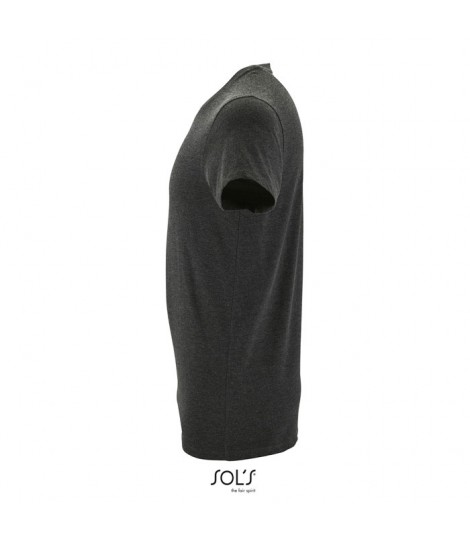 REGENT F CAMISETA HOM 150g