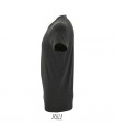 REGENT F CAMISETA HOM 150g