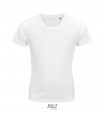 PIONEER CAMISETA NINO 175g