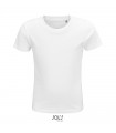 CRUSADER CAMISETA NINO 150g