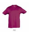 REGENT CAMISETA NINO 150g
