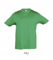 REGENT CAMISETA NINO 150g