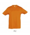 REGENT CAMISETA NINO 150g