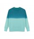 Sudadera Adulto Truyi