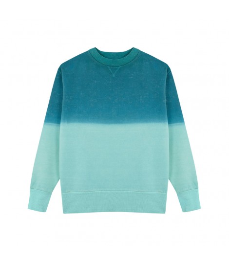Sudadera Adulto Truyi