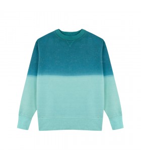 Sudadera Adulto Truyi