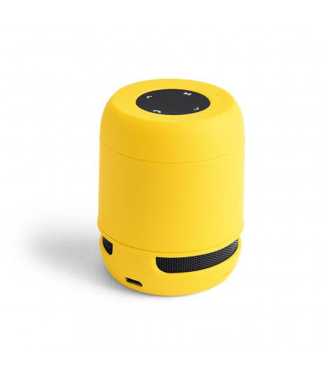 Braiss