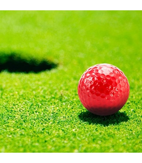Nessa
