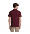 SPRING II POLO HOMBRE 210g