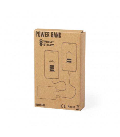 Power Bank Shiden