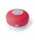 Altavoz Rariax