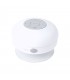 Altavoz Rariax