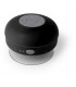 Altavoz Rariax