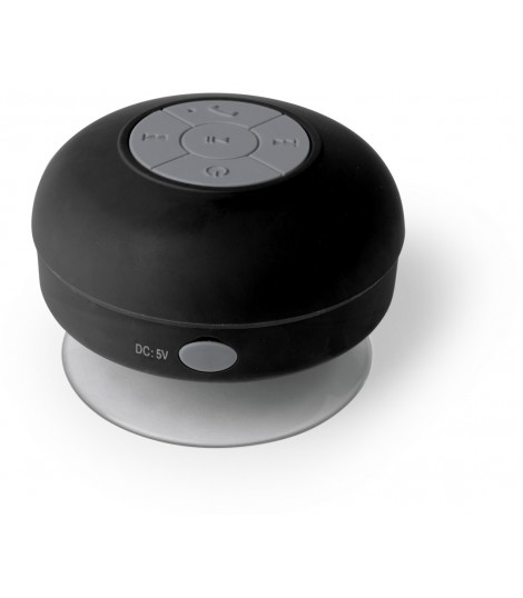 Altavoz Rariax
