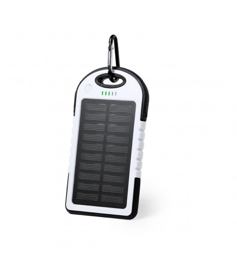 Power Bank Lenard