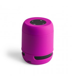 Altavoz Braiss