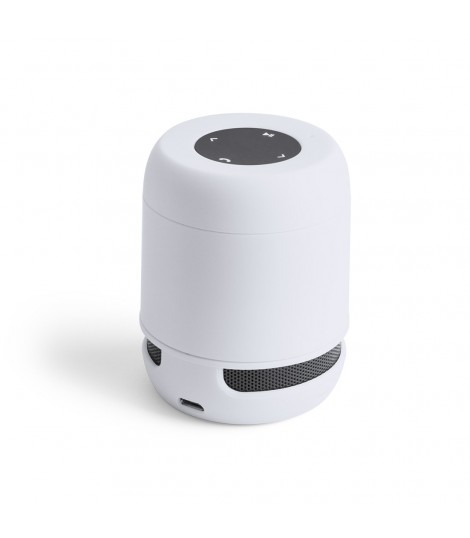 Altavoz Braiss