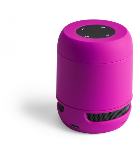 Altavoz Braiss