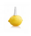 Vaporizador Jandres