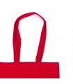 Bolsa Geiser