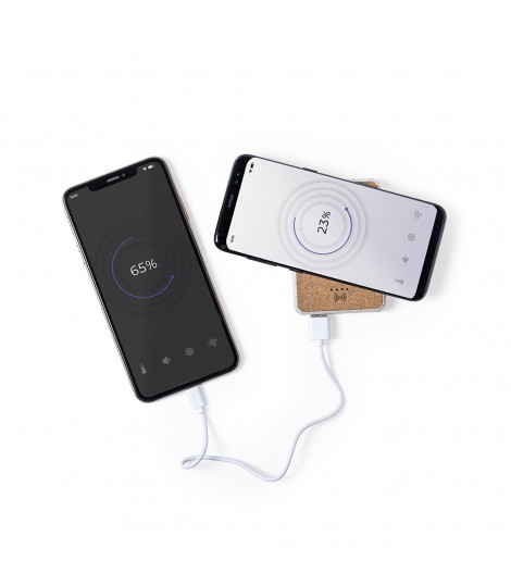 Power Bank Merak