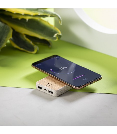 Power Bank Merak