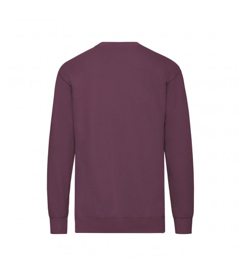 Sudadera Adulto Lightweight Set In S