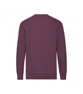Sudadera Adulto Lightweight Set In S