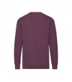 Sudadera Adulto Lightweight Set In S