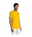 REGENT CAMISETA UNISEX 150g