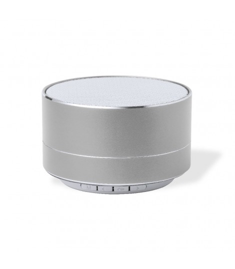 Altavoz Skind