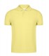 Polo Adulto Ment