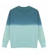 Sudadera Adulto Truyi