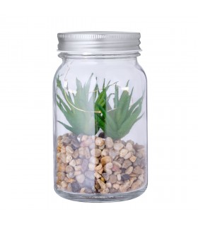 Planta Decorativa Kyala