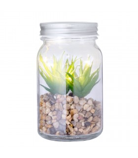 Planta Decorativa Kyala