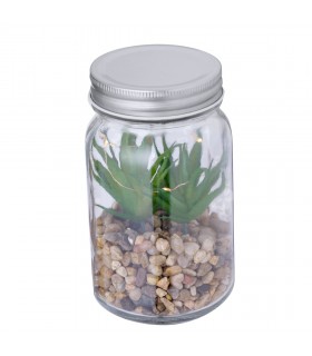 Planta Decorativa Kyala