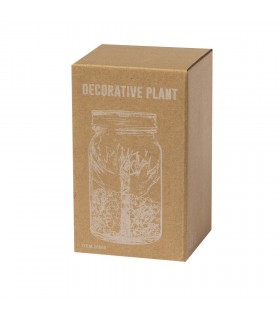 Planta Decorativa Kyala