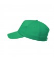 Gorra Brauner