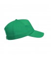 Gorra Brauner