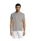 TITAN CAMISETA 150gr