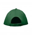 Gorra beisbol 5 pan