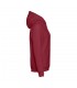 THC PHOENIX Sudadera unisex con capucha
