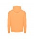 THC PHOENIX Sudadera unisex con capucha
