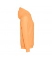 THC PHOENIX Sudadera unisex con capucha