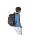 DELFOS BACKPACK Mochila para portatil de 156 